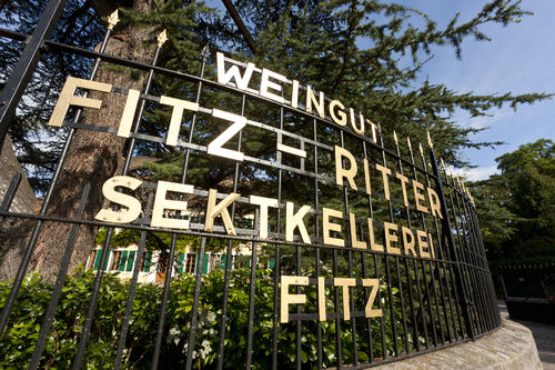 Fitz-Ritter Herbstpräsentation 2022